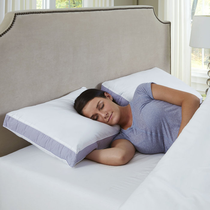 Alwyn Home Extra Firm Density Pillow & Reviews Wayfair